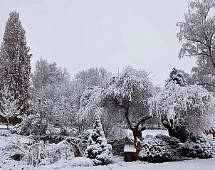 Guest house 03225801 - Holiday property Thuringia - Vakantiehuis in Leinefelde-Worbis