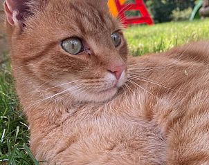 Guest house 03225801 - Holiday property Thuringia - Vakantiehuis in Leinefelde-Worbis