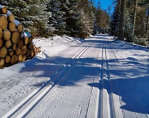 Verblijf 03321501 - Vakantiewoning Beieren - Huisje in Schönwald