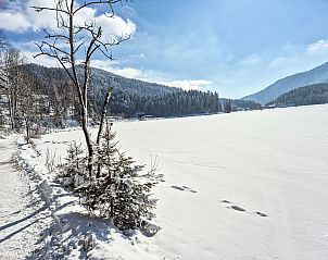 Guest house 03347109 - Holiday property Bavaria - Vakantiehuis Tiny Haus Glockenalm - Sunny Place