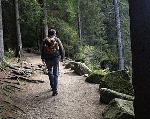 Guest house 03396301 - Holiday property Bavaria - Vakantiehuis in Geiersthal