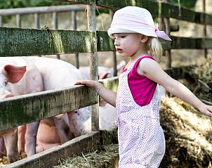 Unterkunft 03397801 - Ferienhaus Bayern - Huisje in Hofheim in Unterfranken