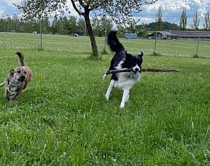 Unterkunft 03397801 - Ferienhaus Bayern - Huisje in Hofheim in Unterfranken
