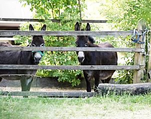 Unterkunft 03397802 - Ferienhaus Bayern - Vakantiehuisje in Hofheim in Unterfranken