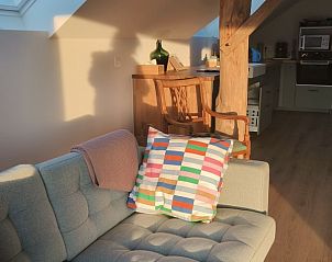 Guest house 037901 - Holiday property Flemish Brabant - De Woestijn - vakantiewoning Den Ast