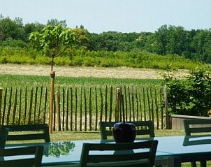 Overdekt terras met uitzicht op de tuin bij Moderne villa met zwembad en kinderboerderij in Affligem, Vlaams-Brabant.