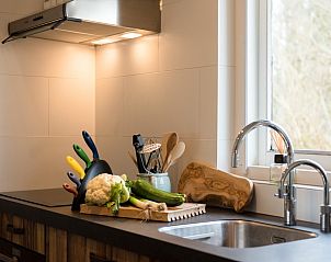 Guest house 0401154 - Holiday property Ameland - Artemis