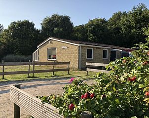 Bungalow Helma in Ballum, Ameland met omheinde tuin en groene omgeving.