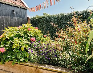 Guest house 0403137 - Bungalow Ameland - Naar de kust