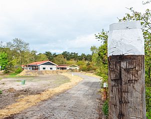 Verken de schilderachtige omgeving van Nesserduinen 42B, een vakantiehuis in Nes, Ameland, met prachtig groen en rustieke paden.