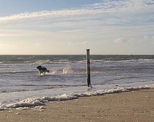 Guest house 040503 - Holiday property Ameland - Campanula