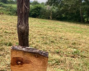 Ontdek de natuurlijke schoonheid rondom Vakantiehuisje in Chiddes, Bourgondi, Frankrijk, met uitgestrekte wijngaarden.