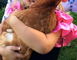 Verblijf 04124708 - Vakantiewoning Bretagne - Huisje in Prat