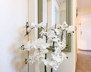 Unterkunft 0416121 - Appartement Bretagne - Appartement Les Glénans