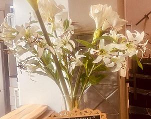 Verblijf 0427292 - Vakantiewoning West-Kaap - Boord Guest House