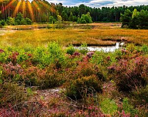 Verblijf 043005 - Vakantiewoning Antwerpen - Hertberg Lodge