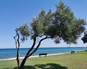 Verblijf 04310703 - Vakantiewoning Corsica - Vakantiehuis Maison Michel