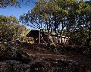 Vakantiehuis Tenthuisje in Figari, Corsica, biedt een unieke ervaring te midden van de natuur.