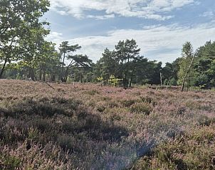 Verblijf 043209 - Vakantiewoning Antwerpen - Oehoe