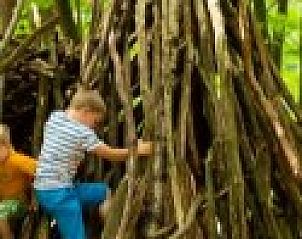 Verblijf 043209 - Vakantiewoning Antwerpen - Oehoe