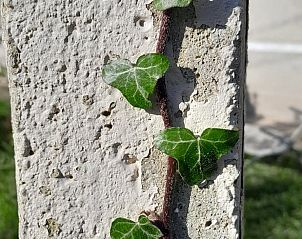 Unterkunft 04517510 - Ferienhaus Center - Huisje in Lignac