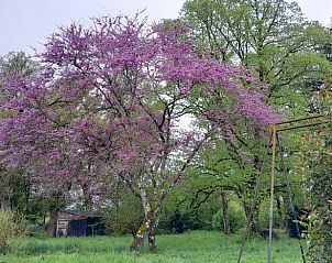 Unterkunft 04517510 - Ferienhaus Center - Huisje in Lignac