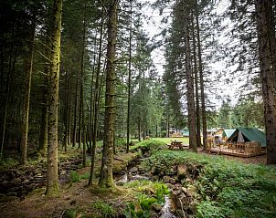 Verblijf 04524004 - Tenthuis Centre - Bonaventure Village