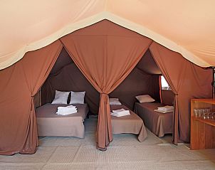 Verblijf 04524107 - Tenthuis Centre - Bungalowtent Classic