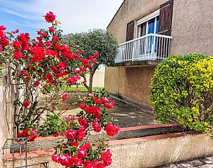 Verblijf 04615801 - Vakantiewoning Languedoc / Roussillon - Vakantiehuis Maison Valandon