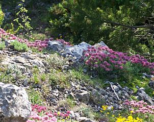 Unterkunft 04616203 - Ferienhaus Languedoc-Roussillon - Huisje in Sonnac sur l'Hers