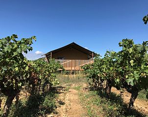 Unterkunft 0461703 - Zelthaus Languedoc-Roussillon - Safaritent incl. sanitair