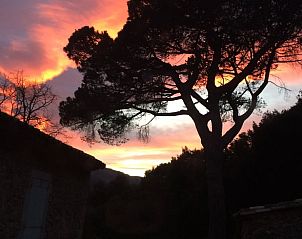 Verblijf 04619306 - Vakantiewoning Languedoc / Roussillon - Huisje in COLOGNAC