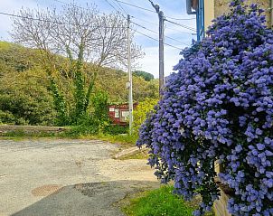Unterkunft 046214001 - Ferienhaus Languedoc-Roussillon - Oleandre