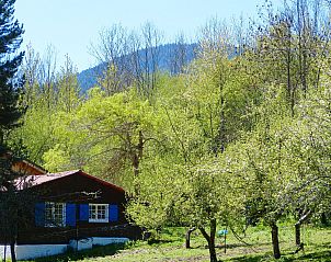 Verblijf 04622501 - Vakantiewoning Languedoc / Roussillon - A little house in the mountains