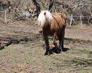 Verblijf 04622501 - Vakantiewoning Languedoc / Roussillon - A little house in the mountains