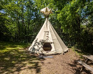 Guest house 04626210 • Holiday property Languedoc / Roussillon • Tipi - zonder toiletten 