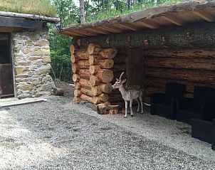 Unterkunft 04632204 - Ferienhaus Languedoc-Roussillon - Huisje in Mosset