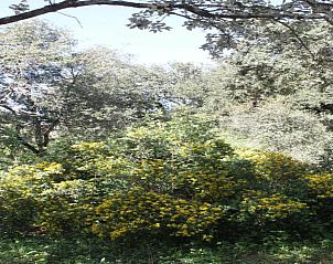 Verblijf 0463703 - Vakantiewoning Languedoc / Roussillon - Grande Villa Vue Panoramique