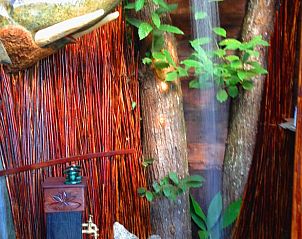 Verblijf 04637802 - Vakantiewoning Languedoc / Roussillon - Vakantiehuis in Courniou