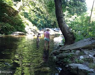 Verblijf 04640703 - Chalet Languedoc / Roussillon - Chalet Jadorel