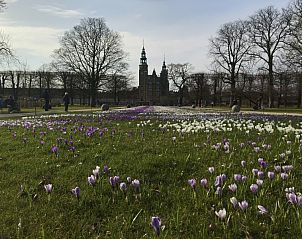 Verblijf 04640703 - Chalet Languedoc / Roussillon - Chalet Jadorel