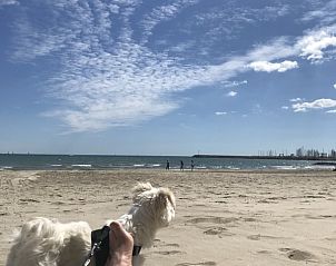 Verblijf 04640703 - Chalet Languedoc / Roussillon - Chalet Jadorel