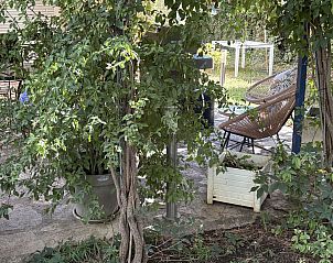 Verblijf 04668801 - Vakantiewoning Languedoc / Roussillon - Chez Régine