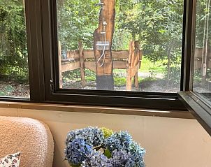 Gezellige binnenruimte van Vakantiehuis in Grobbendonk met uitzicht op groene tuin en buitendouche, gelegen in Antwerpen, Belgi.