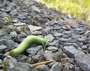 Verblijf 04726601 - Vakantiewoning Pays de la Loire - Huisje in Beauvoir sur mer