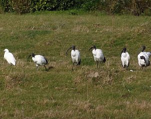 Verblijf 04726601 - Vakantiewoning Pays de la Loire - Huisje in Beauvoir sur mer