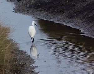 Verblijf 04726601 - Vakantiewoning Pays de la Loire - Huisje in Beauvoir sur mer
