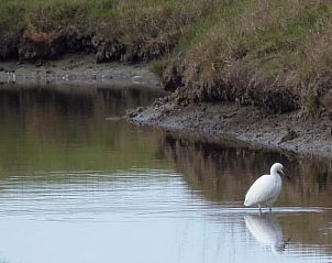 Verblijf 04726601 - Vakantiewoning Pays de la Loire - Huisje in Beauvoir sur mer