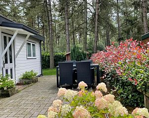 Terras met bloemen bij Chalet Sigal in Poppel, Antwerpen. Perfect voor een ontspannen middag.
