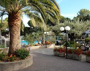 Campingchalet Grande 515 biedt een serene buitenruimte in Roquebrune-sur-Argens, omringd door palmbomen en kleurrijke bloemen in de Provence.